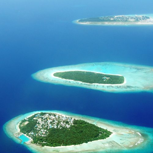 WhatsApp Image 2025-10-01 at 22.13.02_9eefcb8c